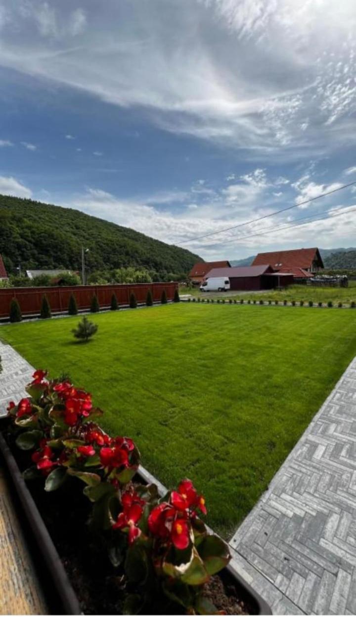 Bed and Breakfast Constantin Panzio Praid Zewnętrze zdjęcie